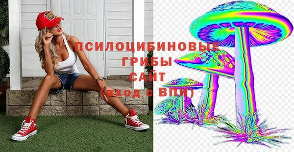 наркотики Бородино
