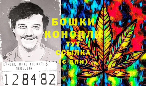 мдпв Бронницы